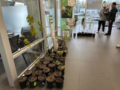 Heritage Subaru Catonsville Loves the Earth