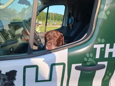 A Heartfelt Thank You to Jenkins Subaru of Ocala for Supporting the Humane Society of Marion County