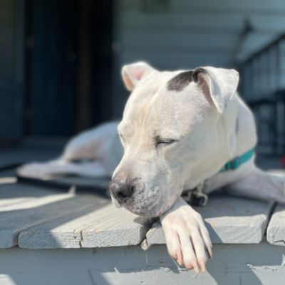 Riley's Happily Ever After