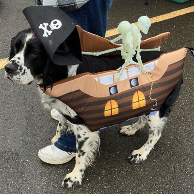 Woofington Loves Ed Shults of Warren Subaru