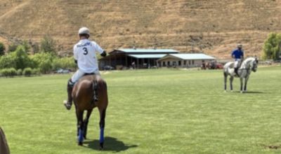 Polo for Pegasus sponsored by McCurley Subaru of Yakima