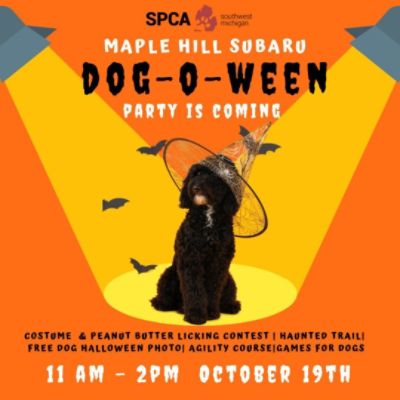 Maple Hill Subaru Loves Pets!