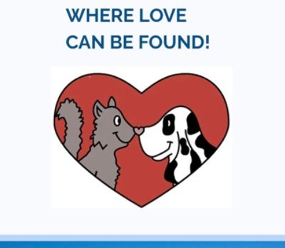 Haven Animal Care Shelter