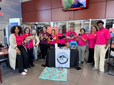 Media From Shelter to Sofa: Stohlman Subaru Supports Life-Changing Pet Adoptions