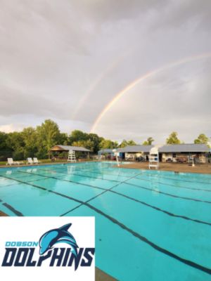 Dobson Dolphins Restoration Project