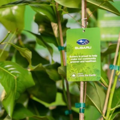 Bryan Subaru Supports its Local Community with the Arbor Day Foundation