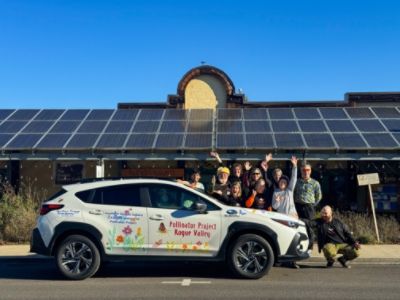 Growing Native Plants for Pollinators and People 