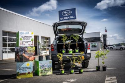 Growing Together with Our Community