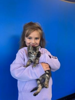 Making Subaru Loves Pets Month Count! 