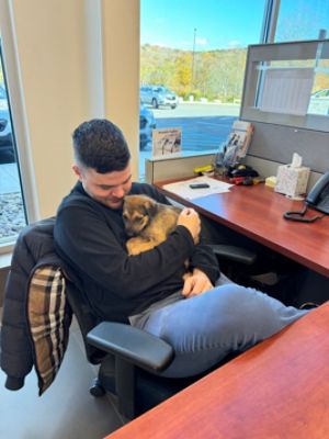 Subaru Loves Pets Adoption Event Sparks Joy and Hope for Puppies and Families