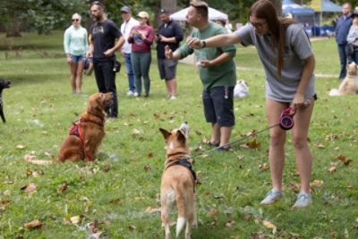 🐾 A Tail-Wagging Good Time at the 2025 ARPO Dog Olympics! 🐾