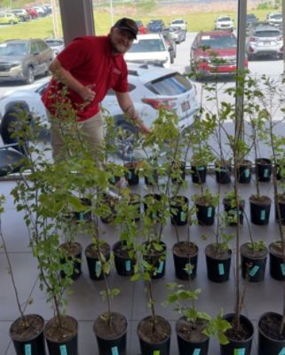 Subaru Loves the Earth Tree Giveaway