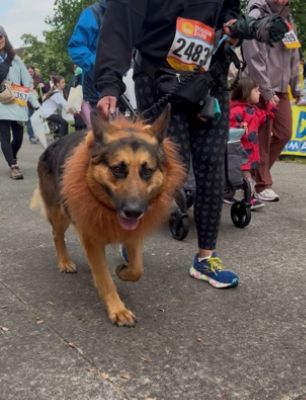 Making a Difference Together: Capitol Subaru and Doggie Dash Salem