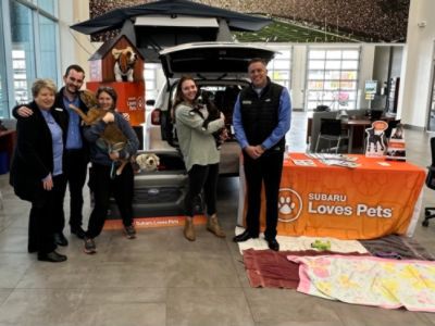 Paws and Hearts United