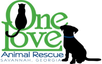 One Love Animal Rescue, Inc.