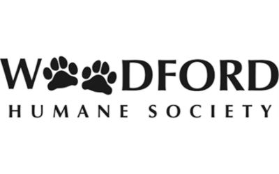 partnerCompanyName