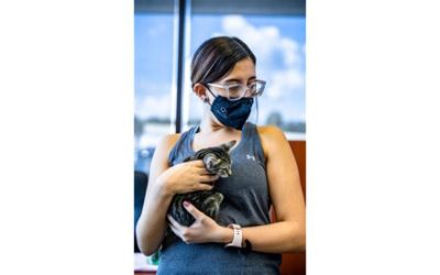 Love Promises Fulfilled!