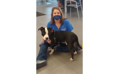 October 2020 Fall Event with HHHS