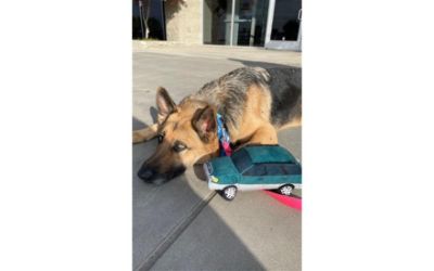 Make A Dog's Day Adoption Event
