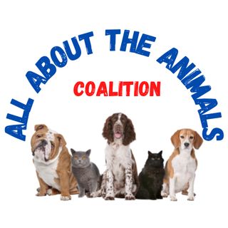 All About The animal Coalition