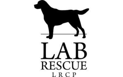 Lab Rescue of the LRCP