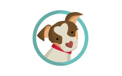 partnerCompanyName