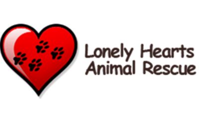 Lonely Hearts Animal Rescue