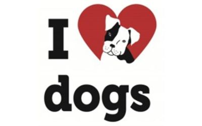 I Heart Dogs Rescue and Animal Haven