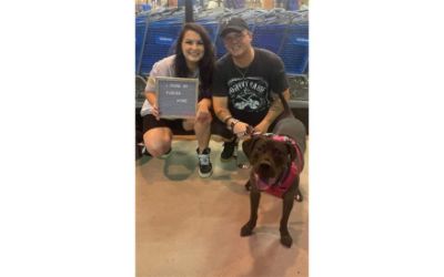 Subaru Loves Pets - Bridge To Home Animal Rescue