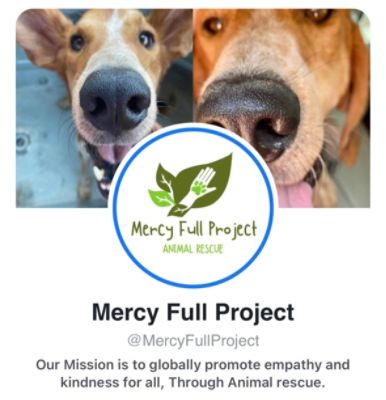 Mercy Full Project Inc