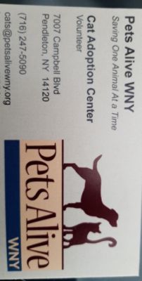 partnerCompanyName