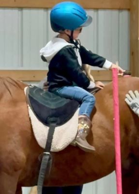 Healing Horse Tales