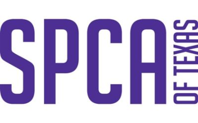 partnerCompanyName