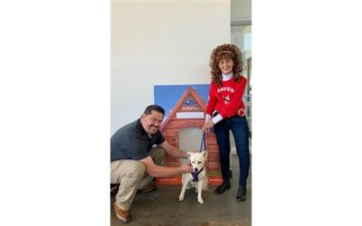 Scoggin-Dickey Subaru Loves Animals