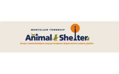 Montclair Township Animal Shelter / FOMTAS