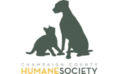 partnerCompanyName