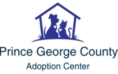 partnerCompanyName