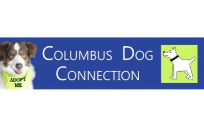 The Columbus Dog Connection