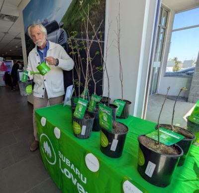 Taking Root