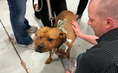 Longmont Humane Society Homeward Bound