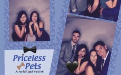 Priceless Pets Prom