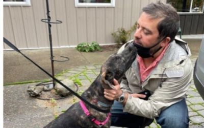 Subaru Loves Pets-Humane Society Schuyler County 
