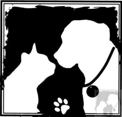 South Jersey Regional Animal Shelter