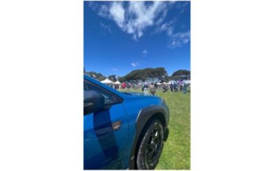 Sausalito WAG Festival