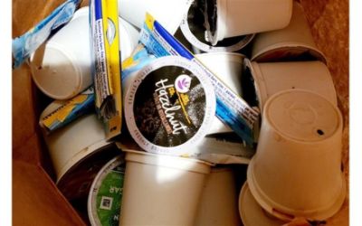 Zero Waste at Brewster Subaru