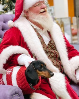 Spreading Love & Joy to Pets on Santa Paws