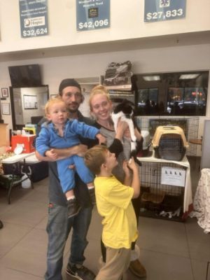 Helping Animals Find New Homes