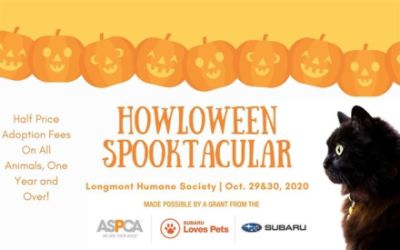 Halloween Spooktacular Adoption - Humane Society
