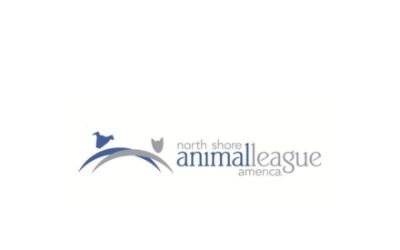 partnerCompanyName