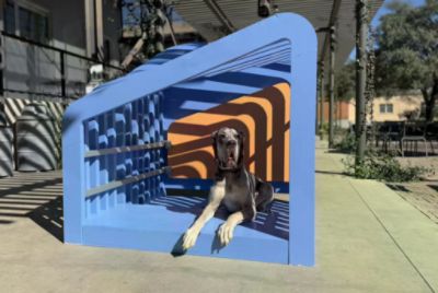 Claws & Paws Construction